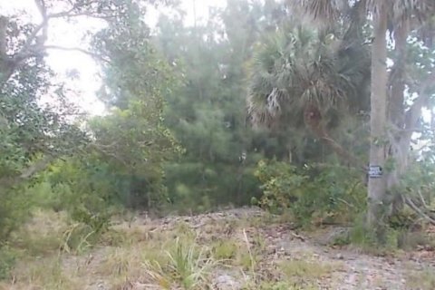 Terreno en Grant-Valkaria, Florida № 2345621