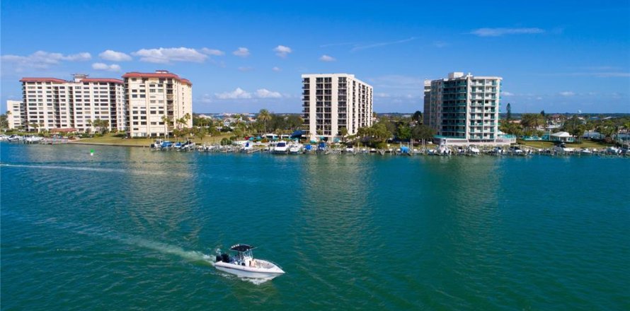 Condo in Clearwater, Florida, 1 bedroom  № 2386196