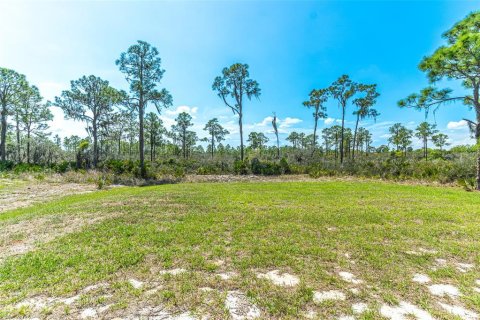 Casa en venta en Lake Placid, Florida, 3 dormitorios, 102.56 m2 № 2117121 - foto 12