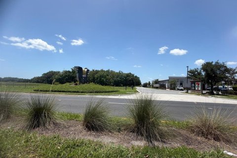 Land in Orlando, Florida № 2210540