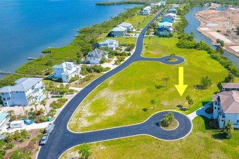 Terreno en venta en Englewood, Florida № 1543928 - foto 11