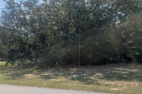 Land in Citrus Springs, Florida № 2166647 - photo 7