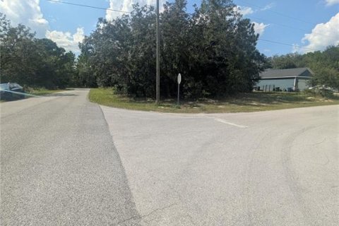 Land in Citrus Springs, Florida № 2166647 - photo 4