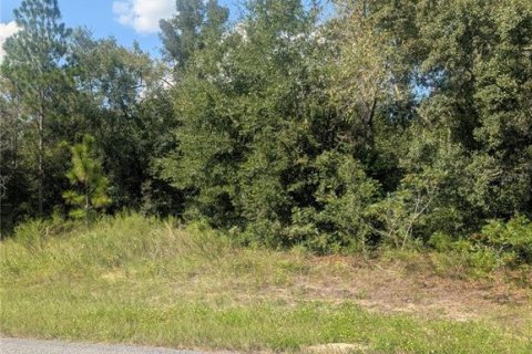 Land in Citrus Springs, Florida № 2166647 - photo 14