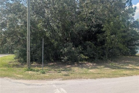 Land in Citrus Springs, Florida № 2166647 - photo 6