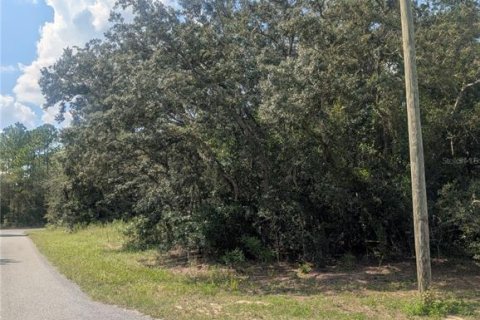 Land in Citrus Springs, Florida № 2166647 - photo 10