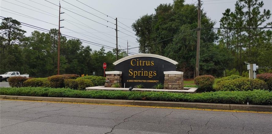 Land in Citrus Springs, Florida № 2166647