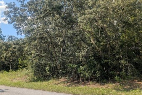 Land in Citrus Springs, Florida № 2166647 - photo 12