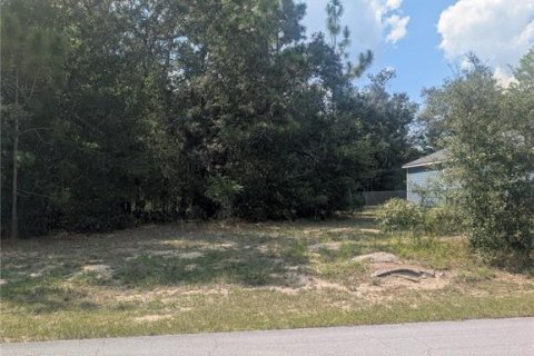 Land in Citrus Springs, Florida № 2166647 - photo 8