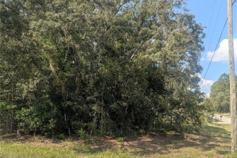Land in Citrus Springs, Florida № 2166647 - photo 11