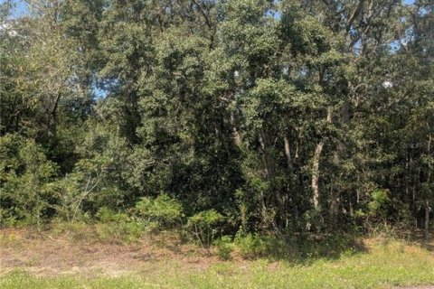 Land in Citrus Springs, Florida № 2166647 - photo 13