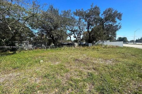 Land in Miami Gardens, Florida № 1958279 - photo 3