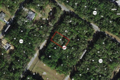 Land in Citrus Springs, Florida № 2369425