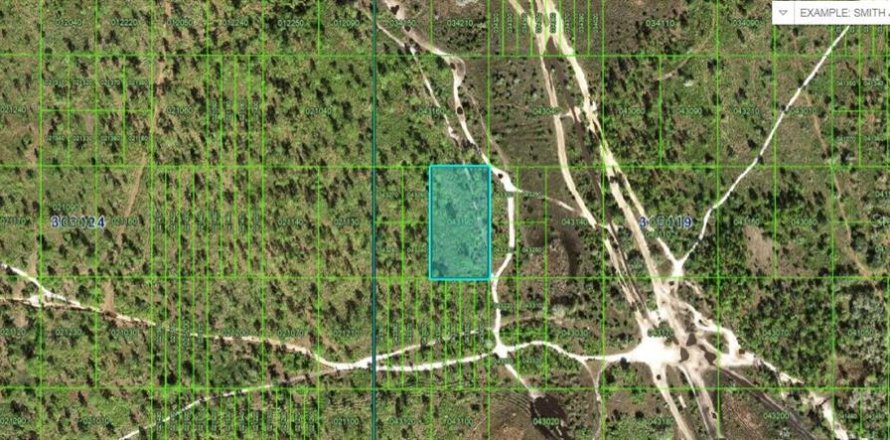 Terreno en Frostproof, Florida № 2164072