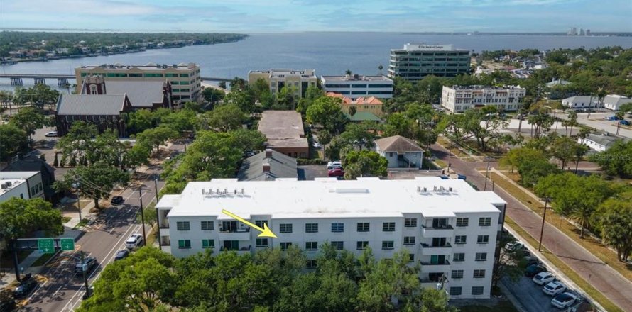 Condo à Tampa, Floride, 2 chambres № 2356713