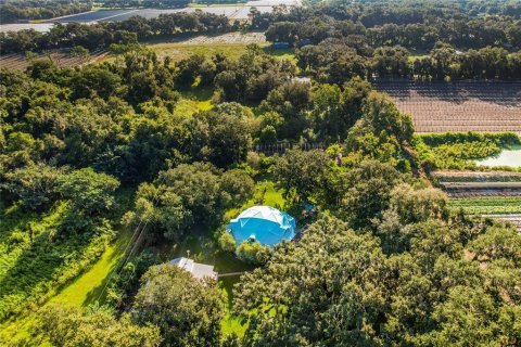 Casa en venta en Dover, Florida, 3 dormitorios, 191.94 m2 № 2386216 - foto 18
