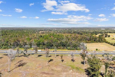 Land in Ocala, Florida № 2103952 - photo 10