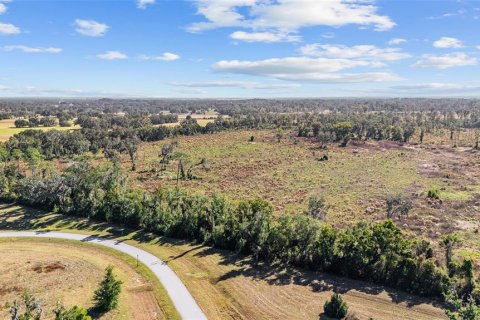Land in Ocala, Florida № 2103952 - photo 21