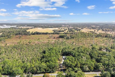 Land in Ocala, Florida № 2103952 - photo 16