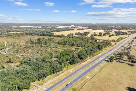 Land in Ocala, Florida № 2103952 - photo 23