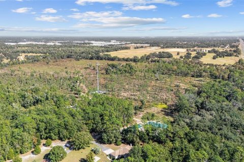 Land in Ocala, Florida № 2103952 - photo 14