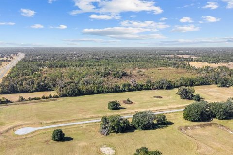 Land in Ocala, Florida № 2103952 - photo 18