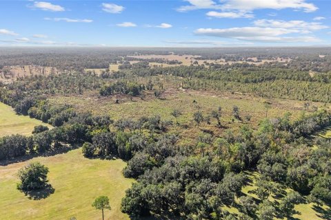Land in Ocala, Florida № 2103952 - photo 4