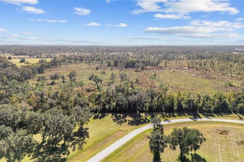Land in Ocala, Florida № 2103952 - photo 9