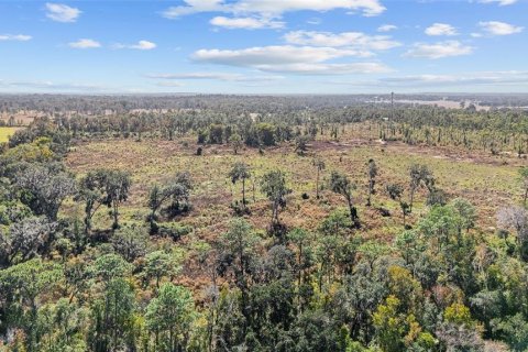 Land in Ocala, Florida № 2103952 - photo 20