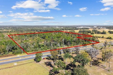 Land in Ocala, Florida № 2103952 - photo 27