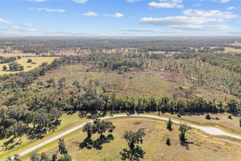 Land in Ocala, Florida № 2103952 - photo 5