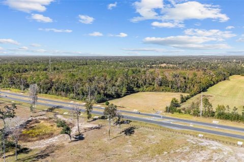 Land in Ocala, Florida № 2103952 - photo 11