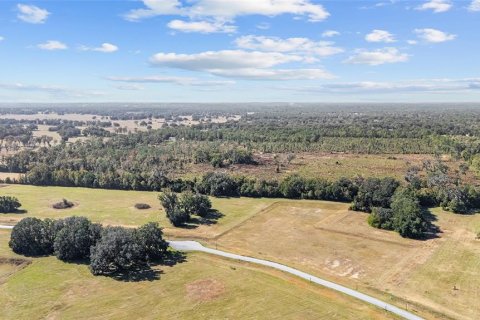 Land in Ocala, Florida № 2103952 - photo 19