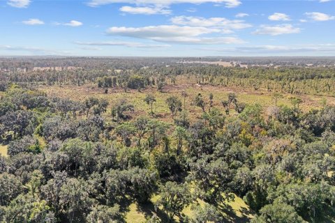 Land in Ocala, Florida № 2103952 - photo 8