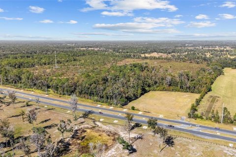 Land in Ocala, Florida № 2103952 - photo 2