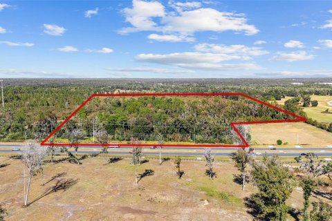 Land in Ocala, Florida № 2103952 - photo 26