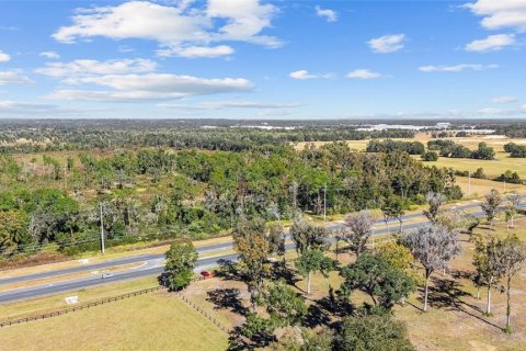 Land in Ocala, Florida № 2103952 - photo 12