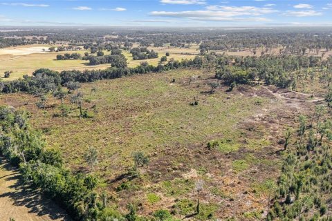 Land in Ocala, Florida № 2103952 - photo 22
