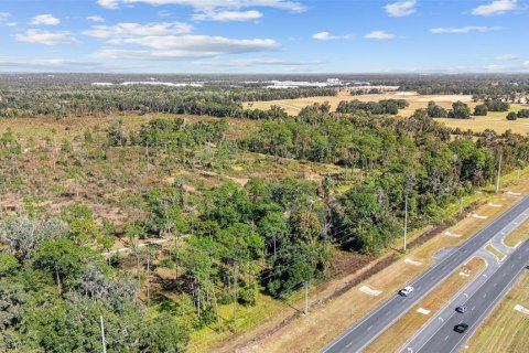 Land in Ocala, Florida № 2103952 - photo 13