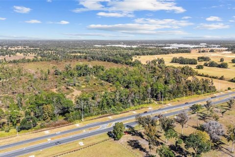 Land in Ocala, Florida № 2103952 - photo 3