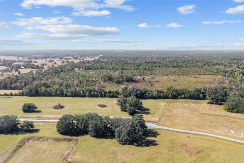 Land in Ocala, Florida № 2103952 - photo 17