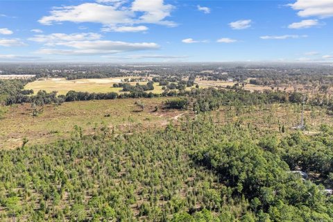 Land in Ocala, Florida № 2103952 - photo 15