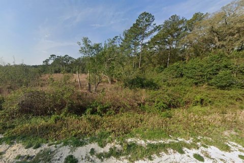 Terrain à vendre à Interlachen, Floride № 2213152 - photo 2