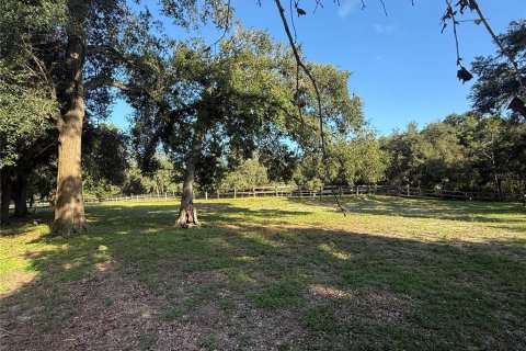 Terrain à vendre à Dade City, Floride № 1915317 - photo 30