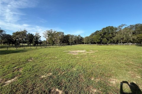Terrain à vendre à Dade City, Floride № 1915317 - photo 24