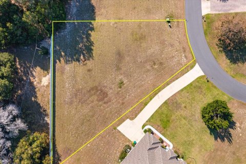 Land in Fruitland Park, Florida № 2213181 - photo 3