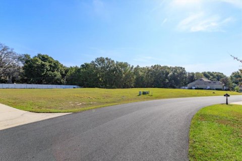 Land in Fruitland Park, Florida № 2213181