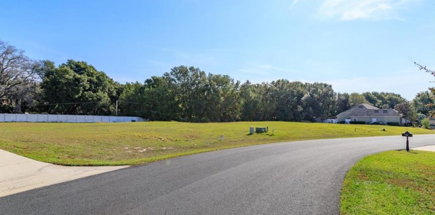 Land in Fruitland Park, Florida № 2213181