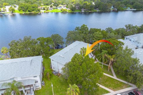 Condo in Tampa, Florida, 1 bedroom  № 1866143 - photo 18