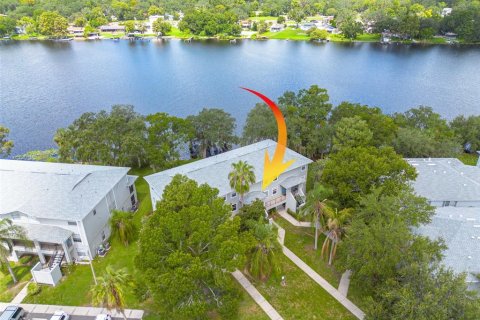 Condo in Tampa, Florida, 1 bedroom  № 1866143 - photo 1